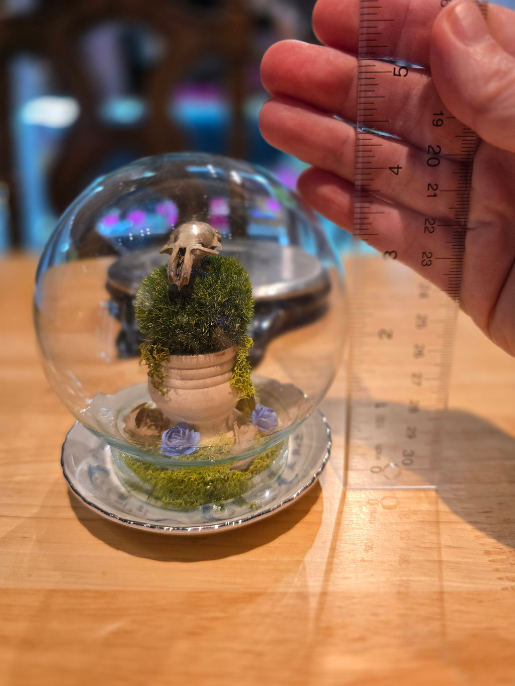 Rat Skull Globe