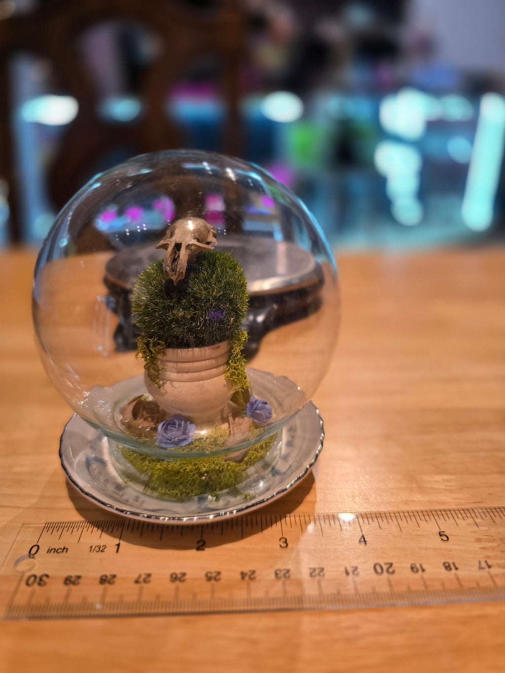 Rat Skull Globe