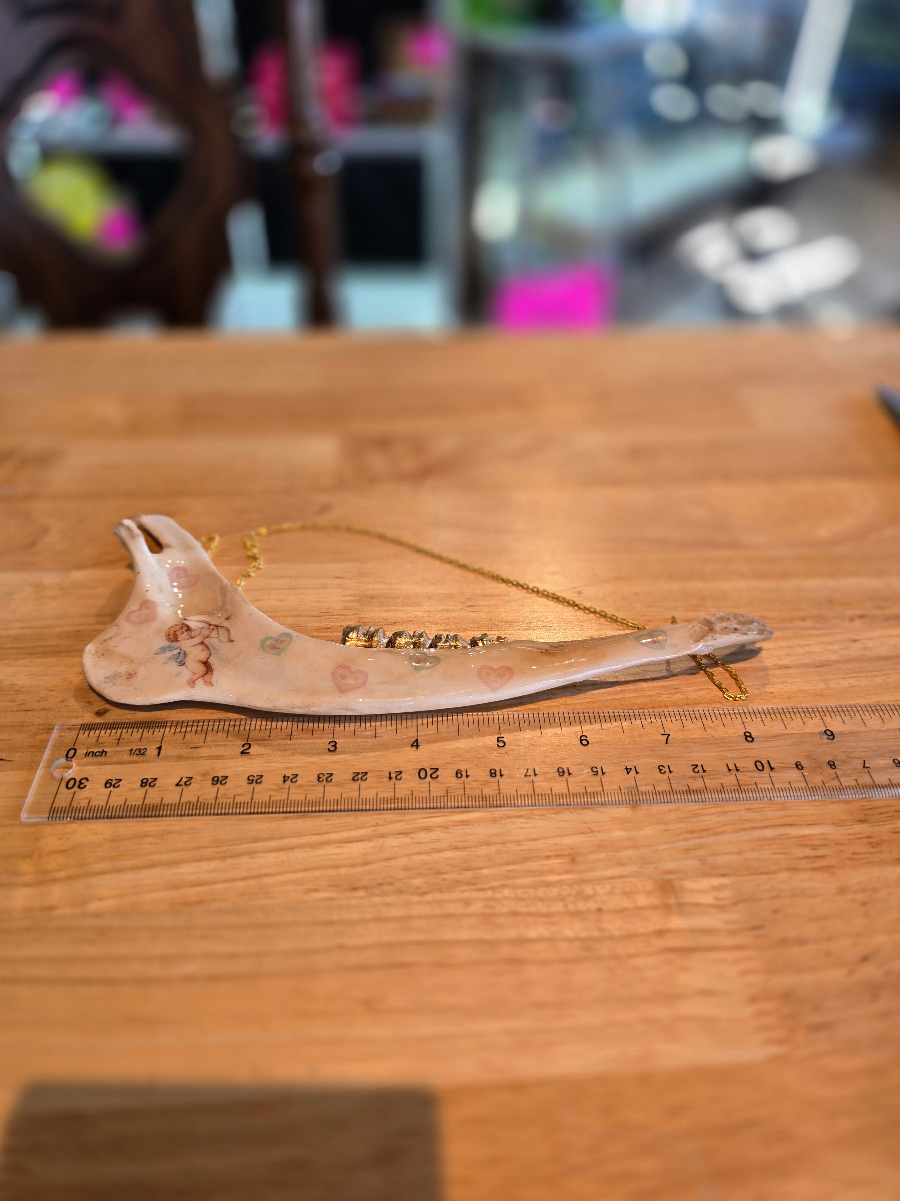 Deer Jaw Bone Hanger