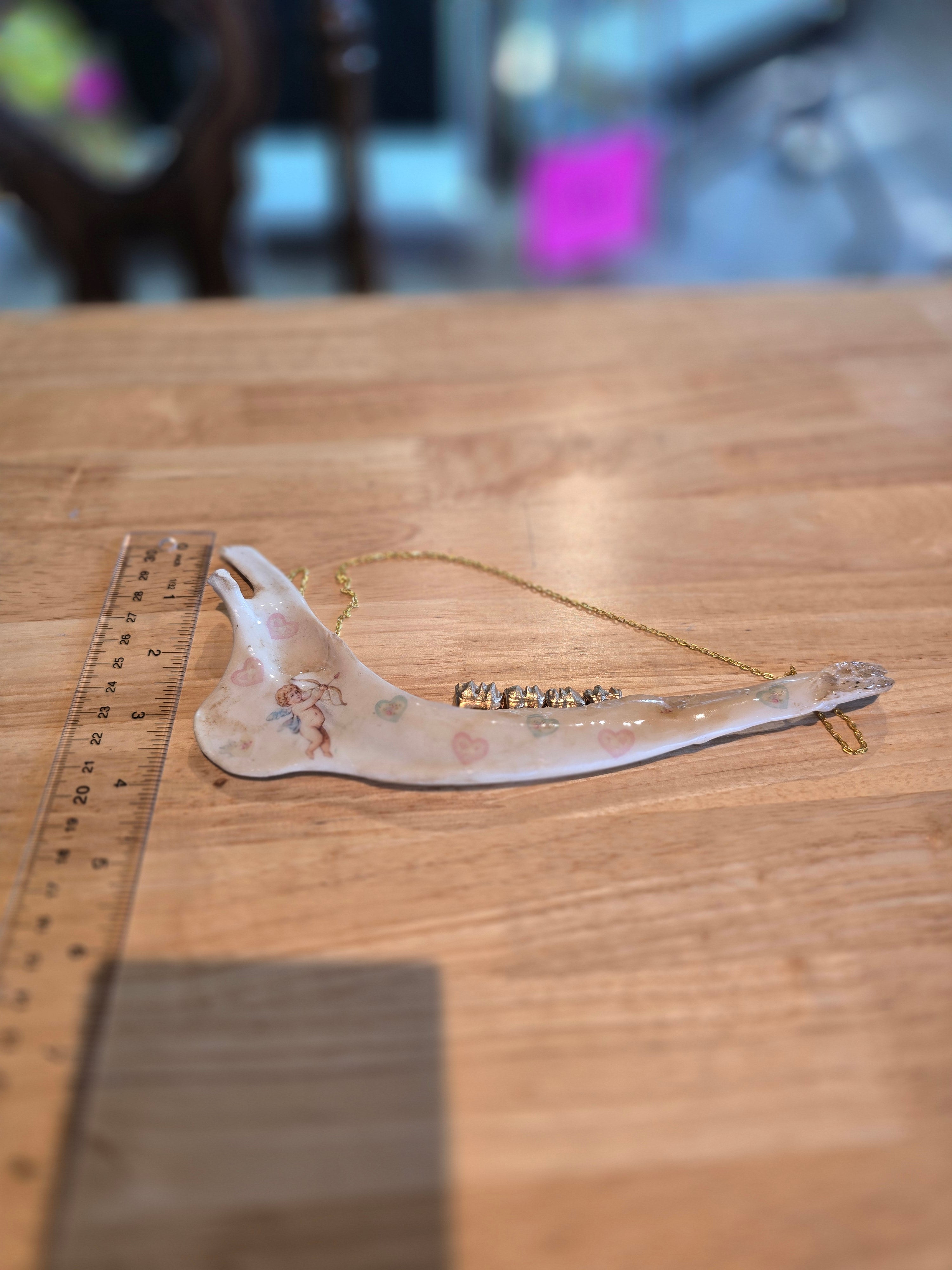 Deer Jaw Bone Hanger