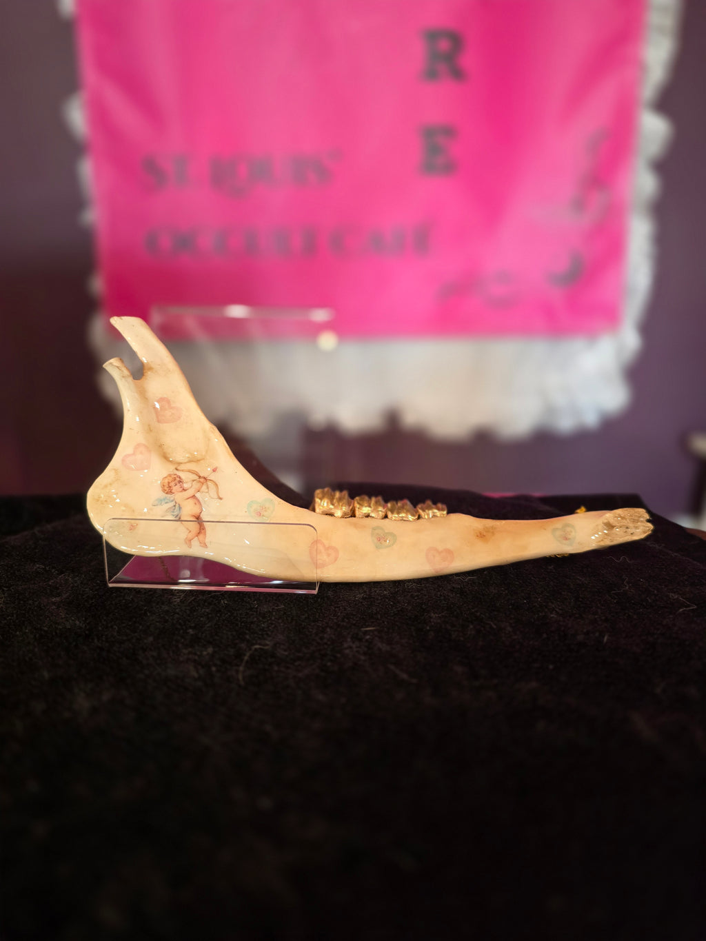 Deer Jaw Bone Hanger