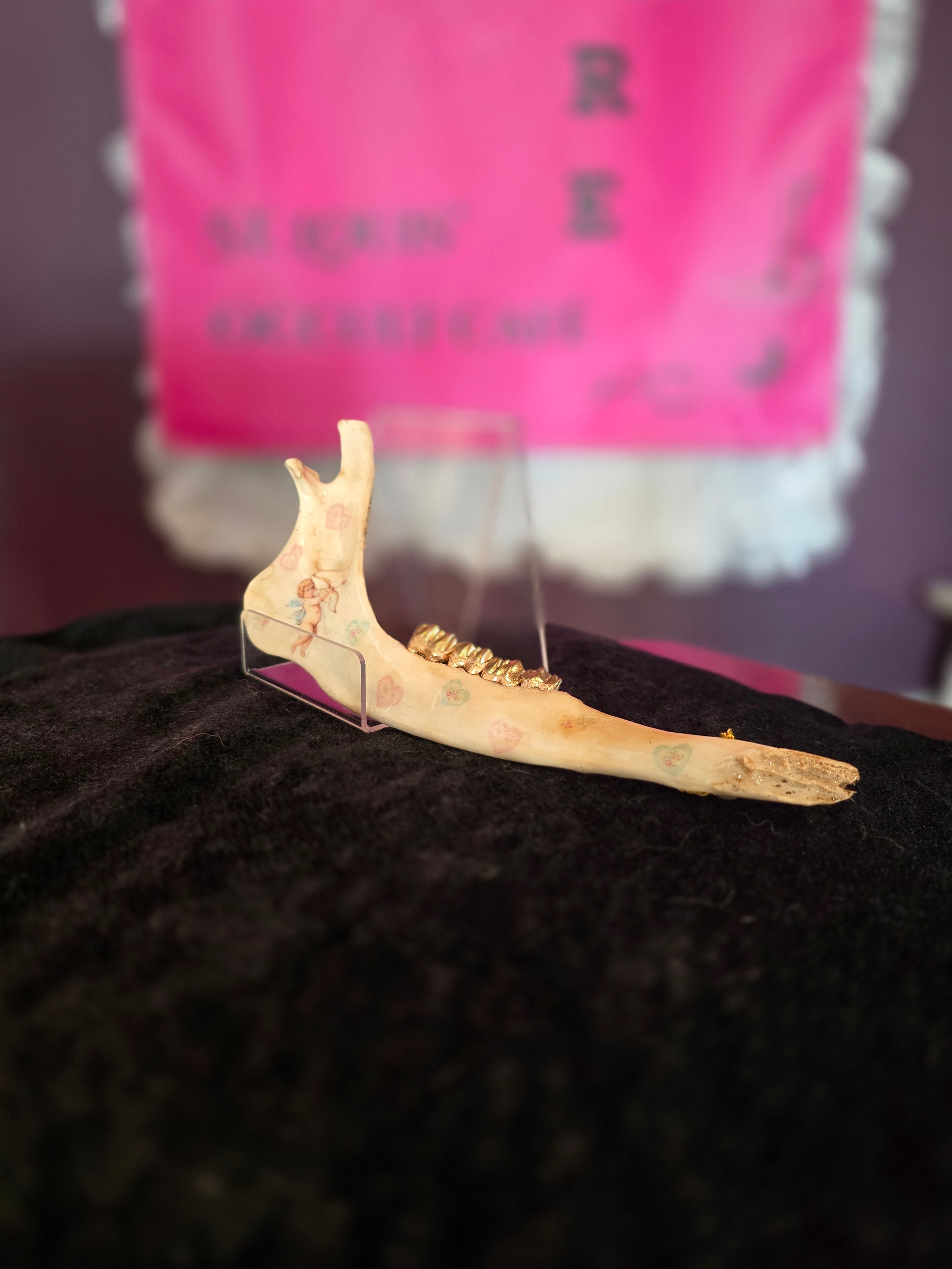 Deer Jaw Bone Hanger