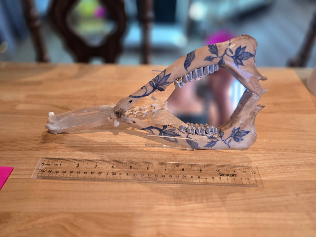 Deer Jaw Bone Mirror