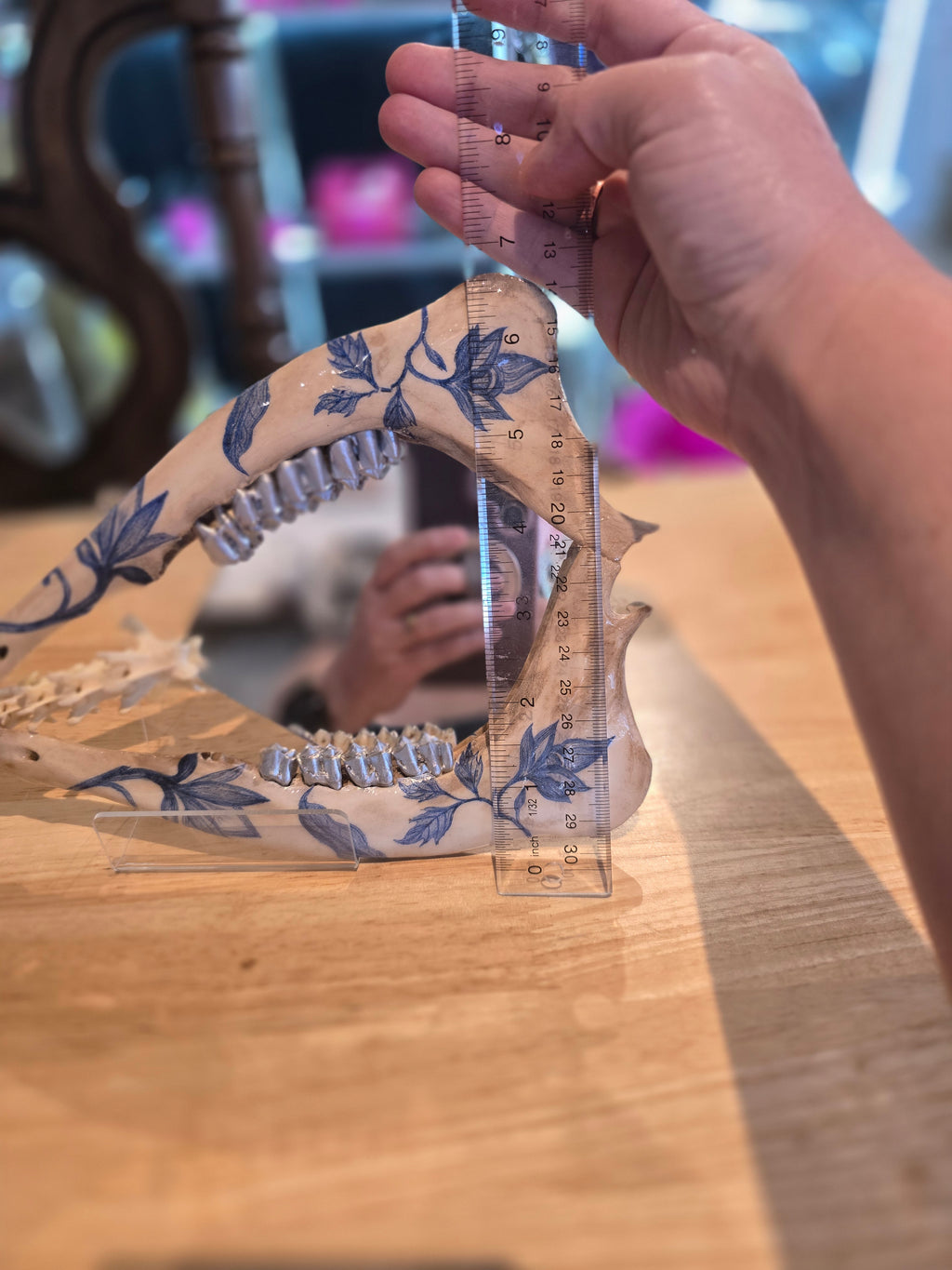 Deer Jaw Bone Mirror