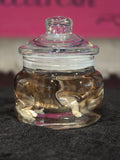 Stillborn Kitten Wet Specimen A