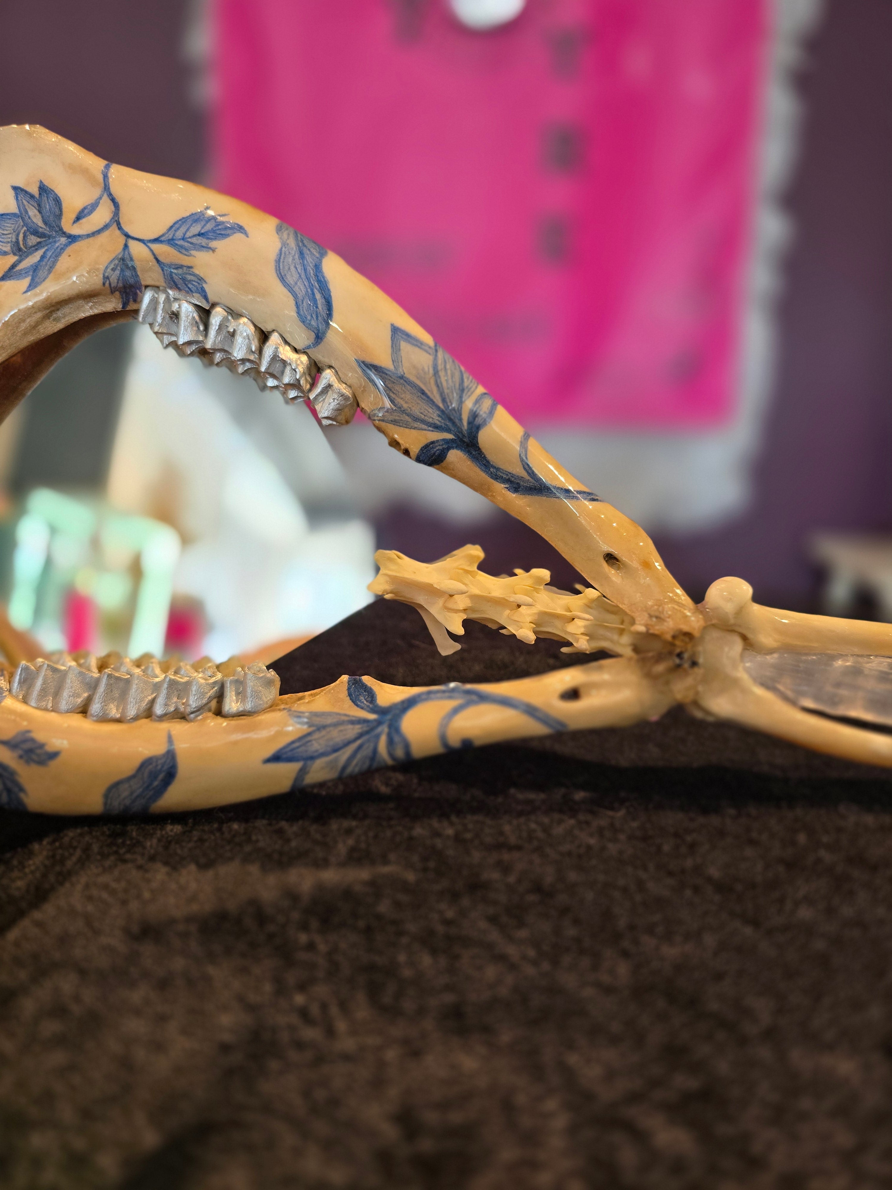 Deer Jaw Bone Mirror