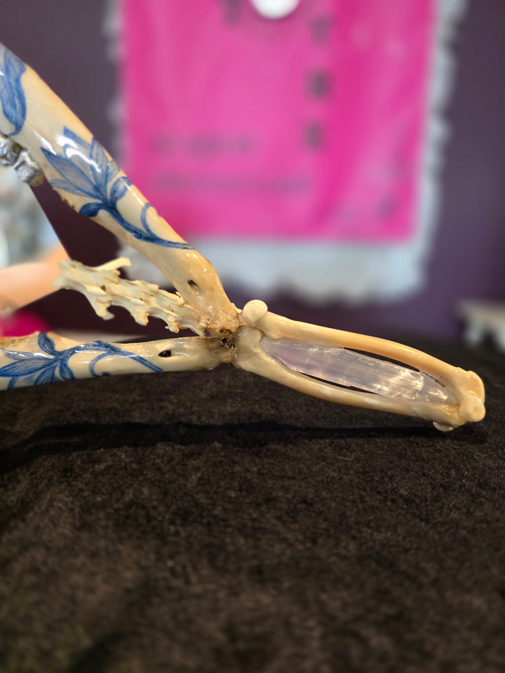 Deer Jaw Bone Mirror