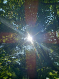 Introduction to Shamanic Drum Journeying:  Journey to Meet Your Guide
