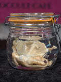Filet Mouse - Wet Specimen