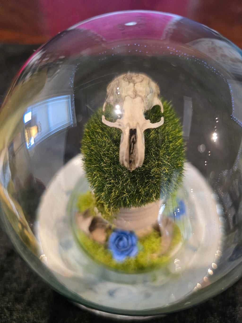 Rat Skull Globe