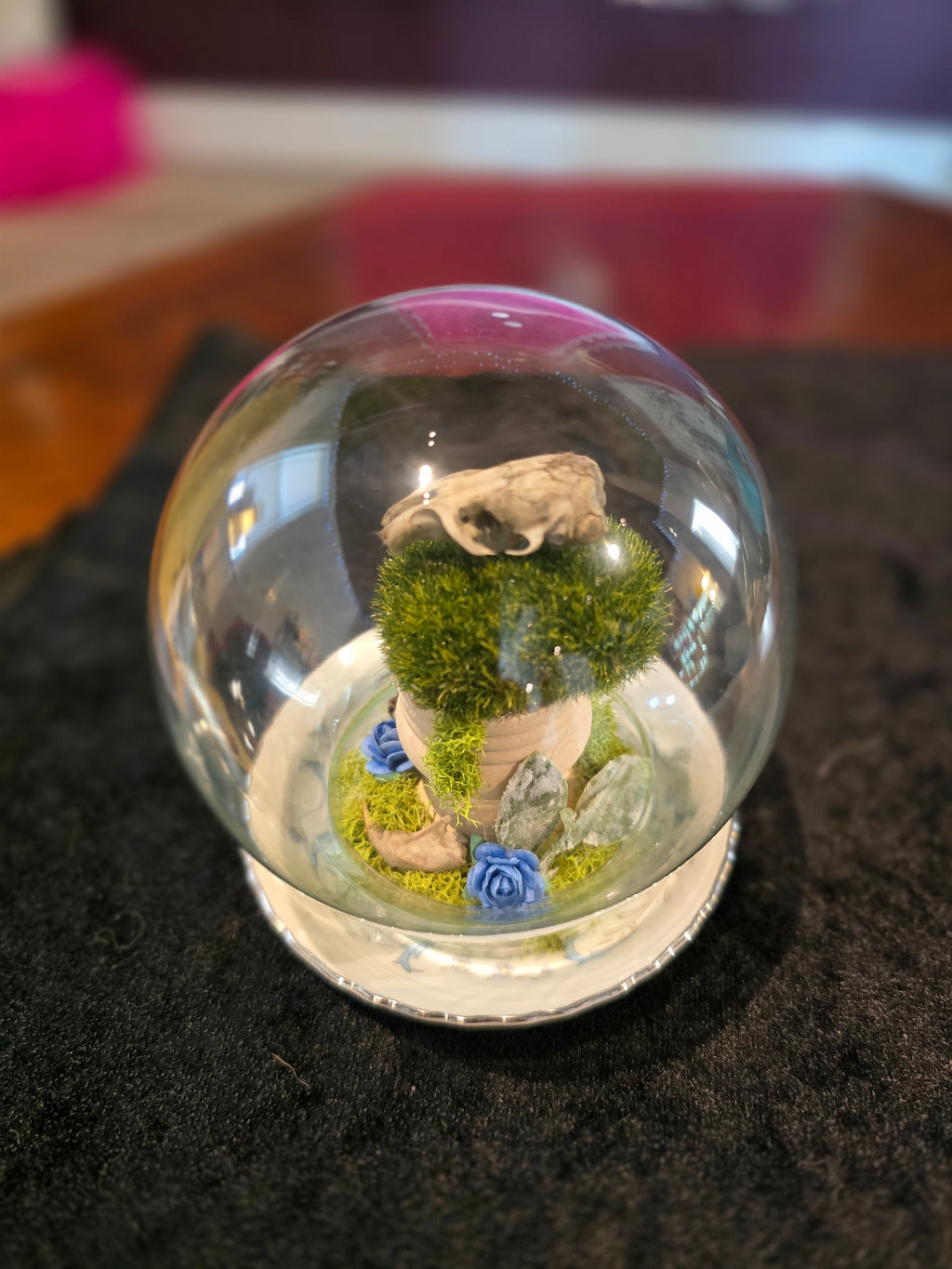 Rat Skull Globe