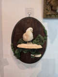 Taxidermied Baby Chick on Mushroom & Moss - Hanging Wall Plaque