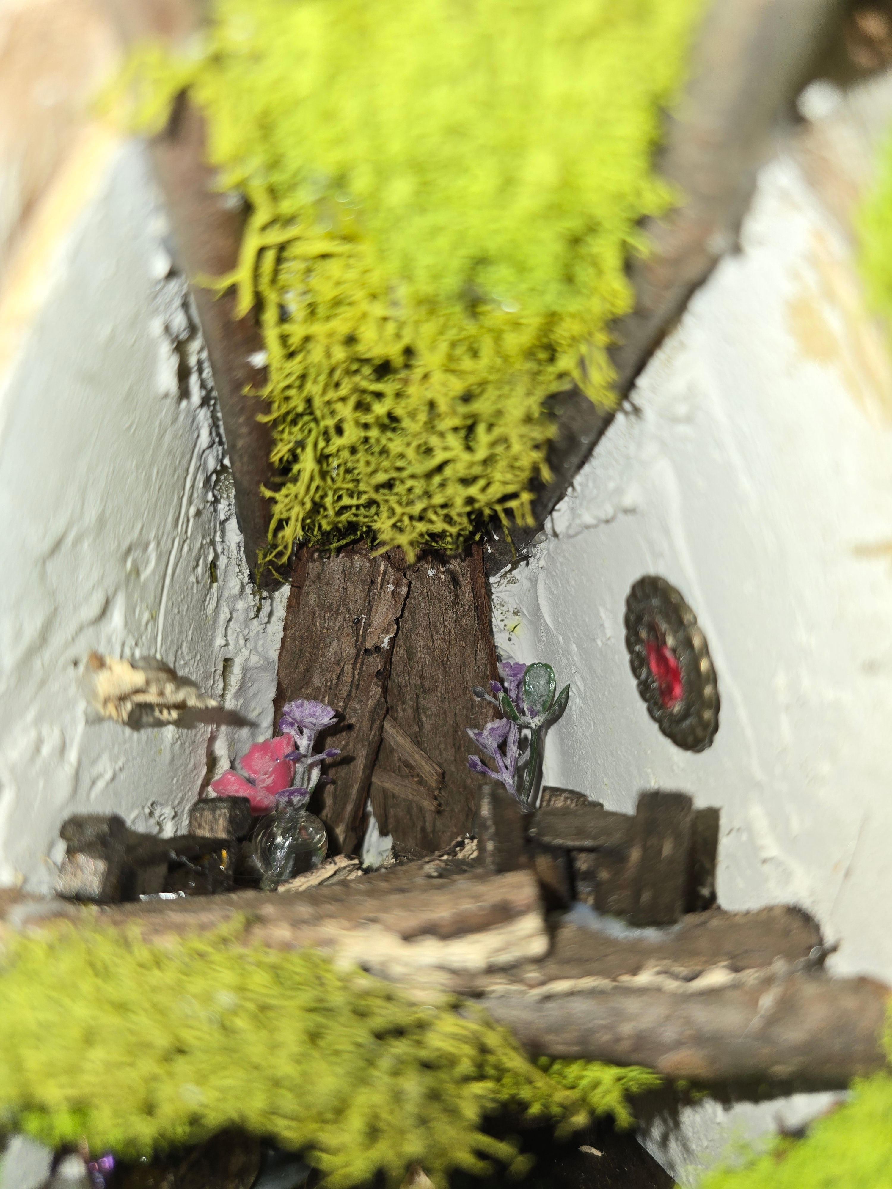 Deer Mount with Hand Crafted Fairy Cottages