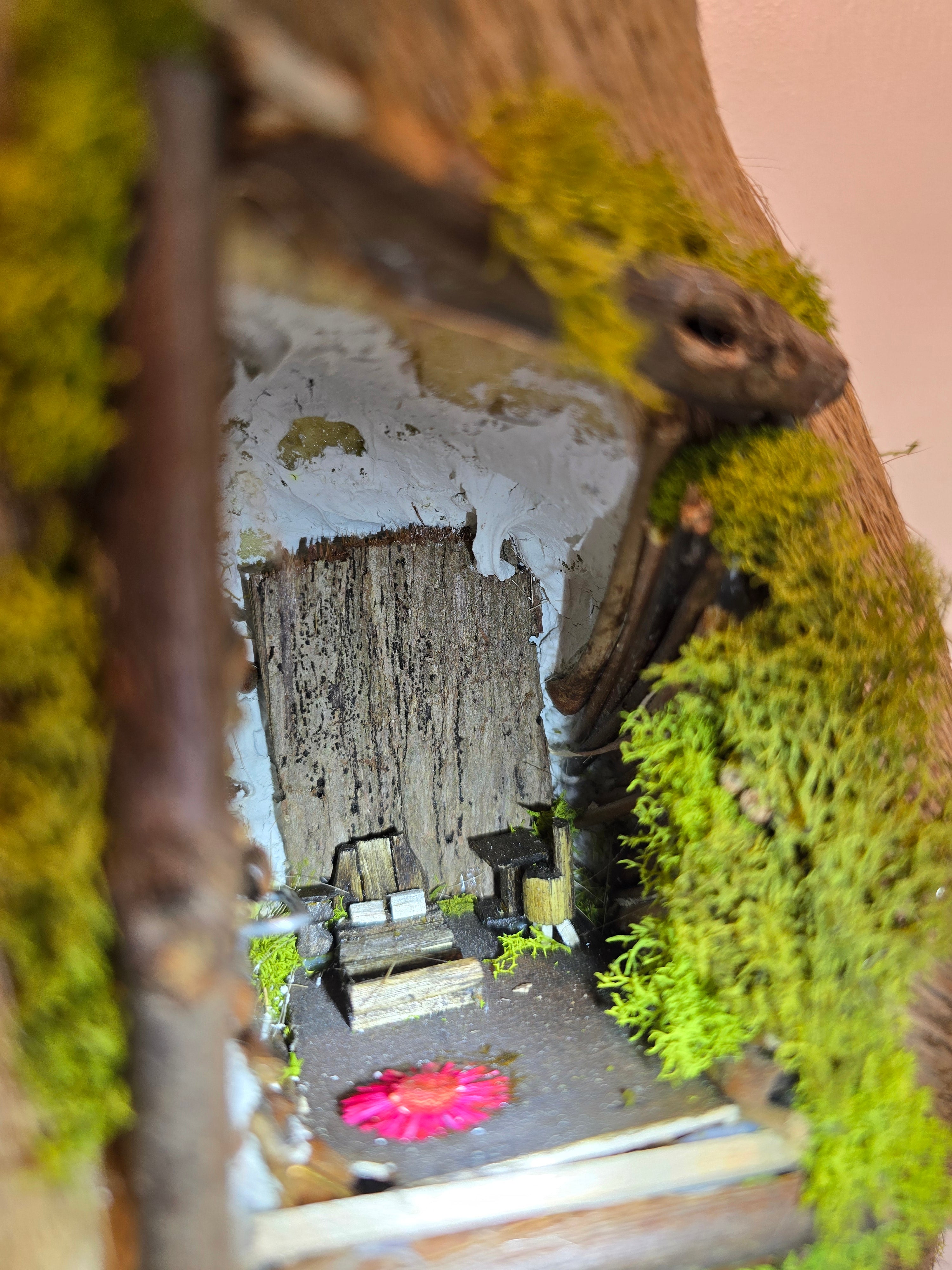 Deer Mount with Hand Crafted Fairy Cottages
