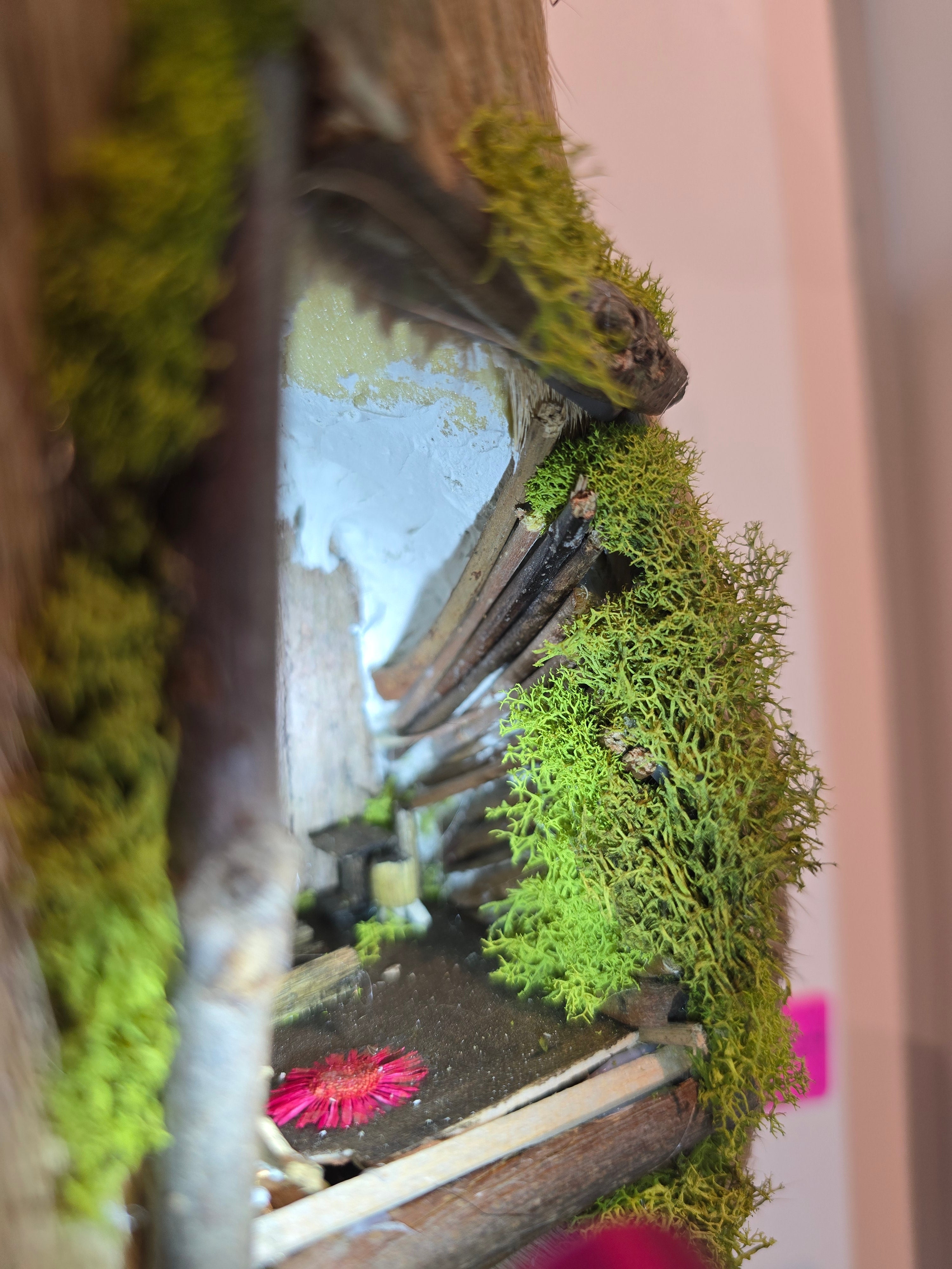 Deer Mount with Hand Crafted Fairy Cottages
