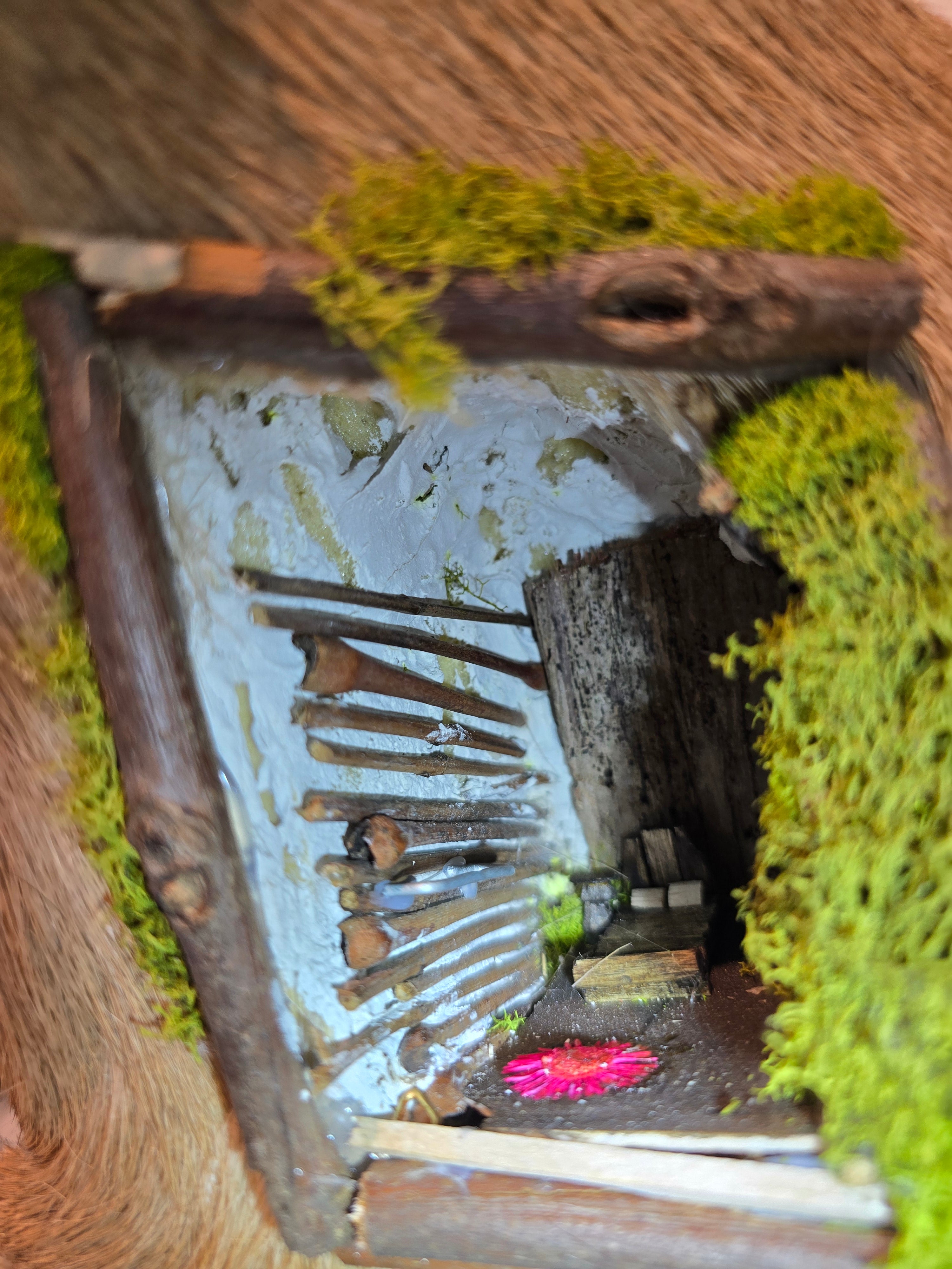 Deer Mount with Hand Crafted Fairy Cottages