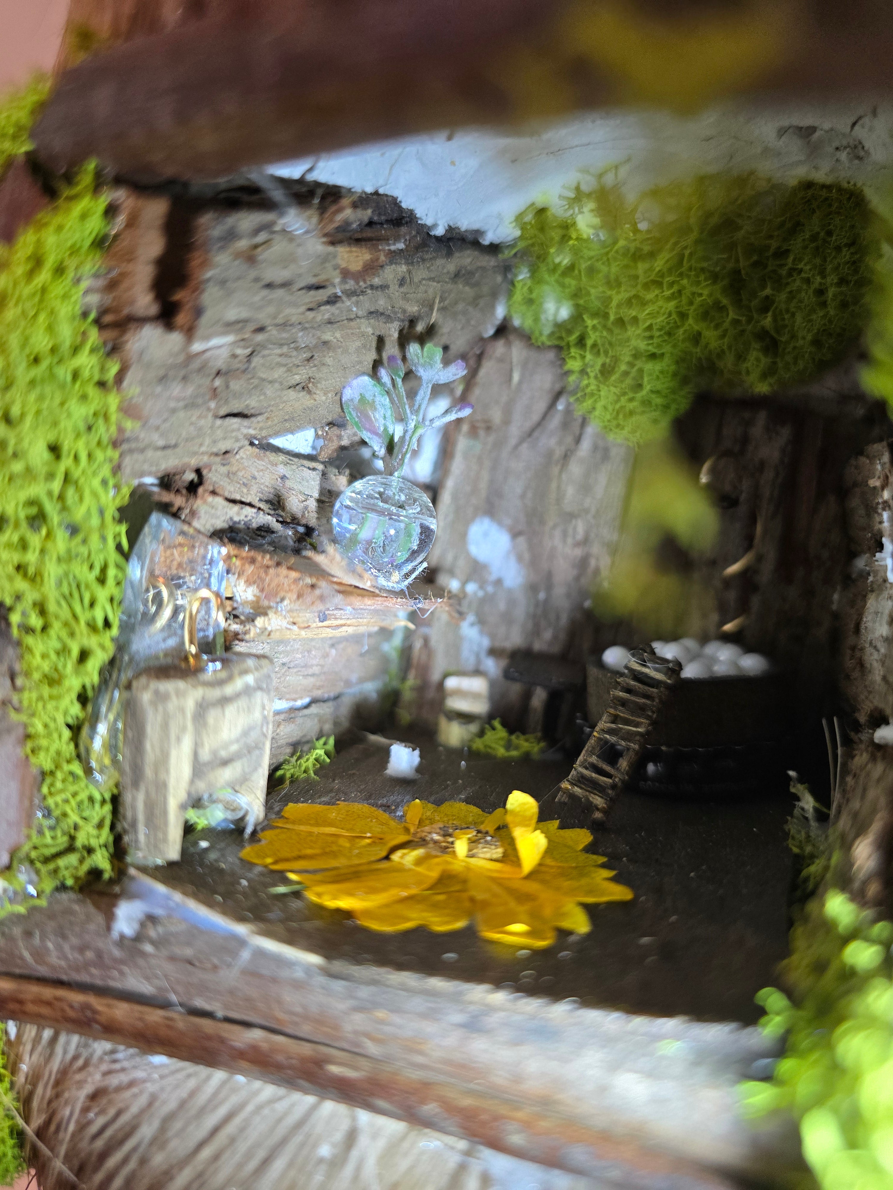 Deer Mount with Hand Crafted Fairy Cottages