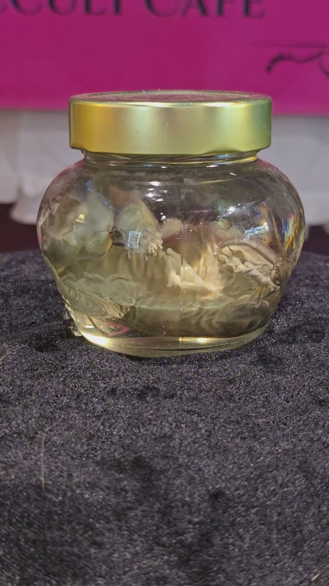 Kitten Wet Specimen B