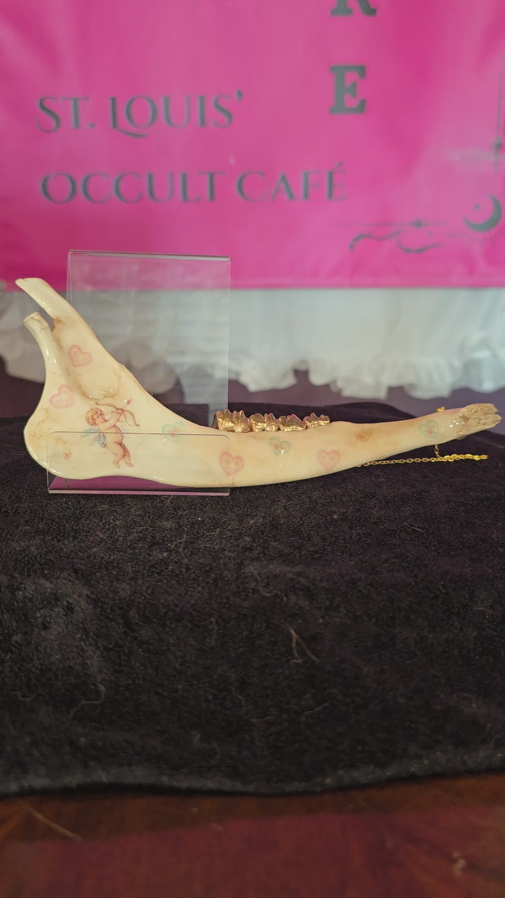 Deer Jaw Bone Hanger