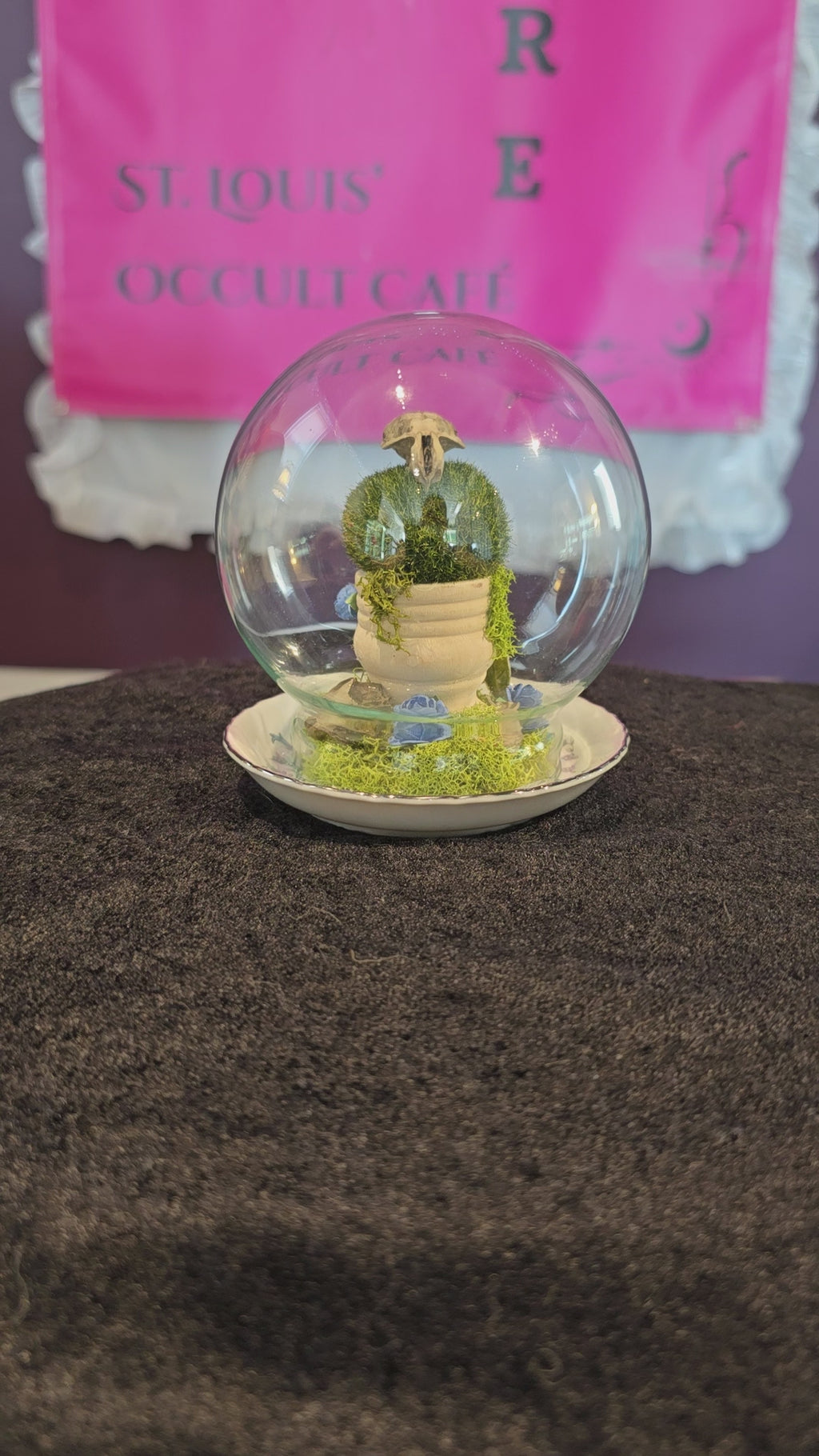 Rat Skull Globe