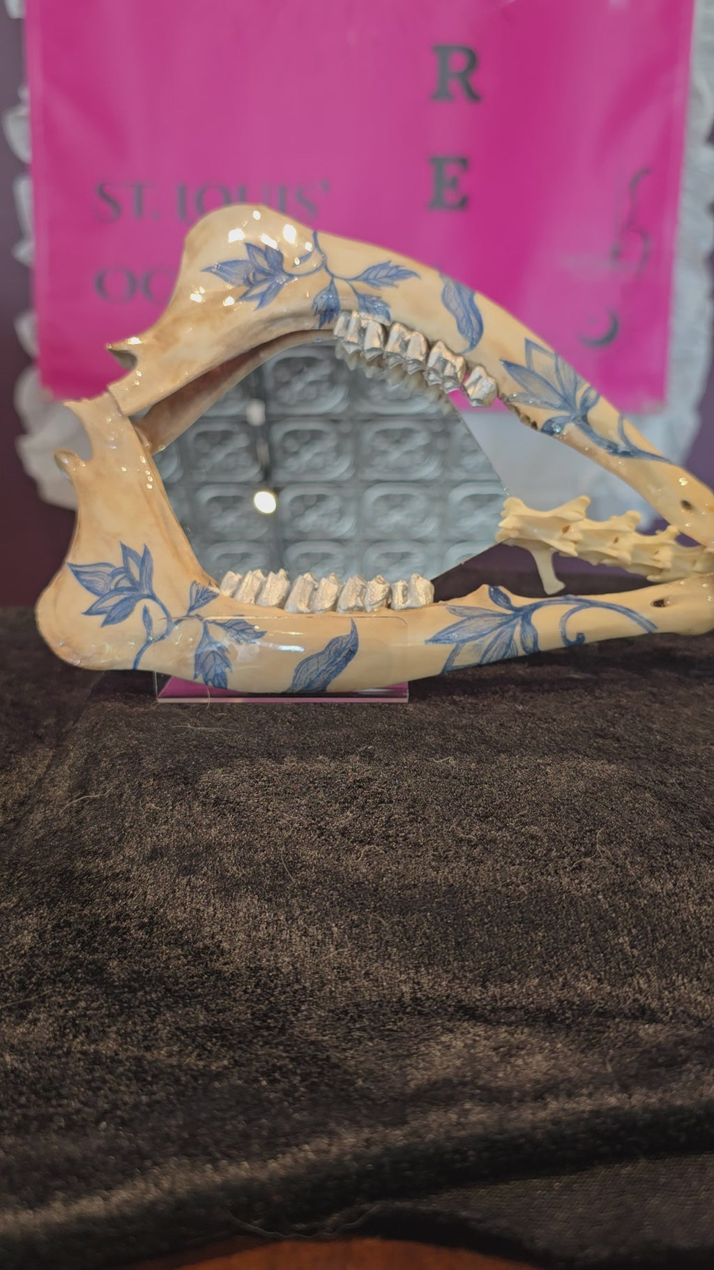Deer Jaw Bone Mirror