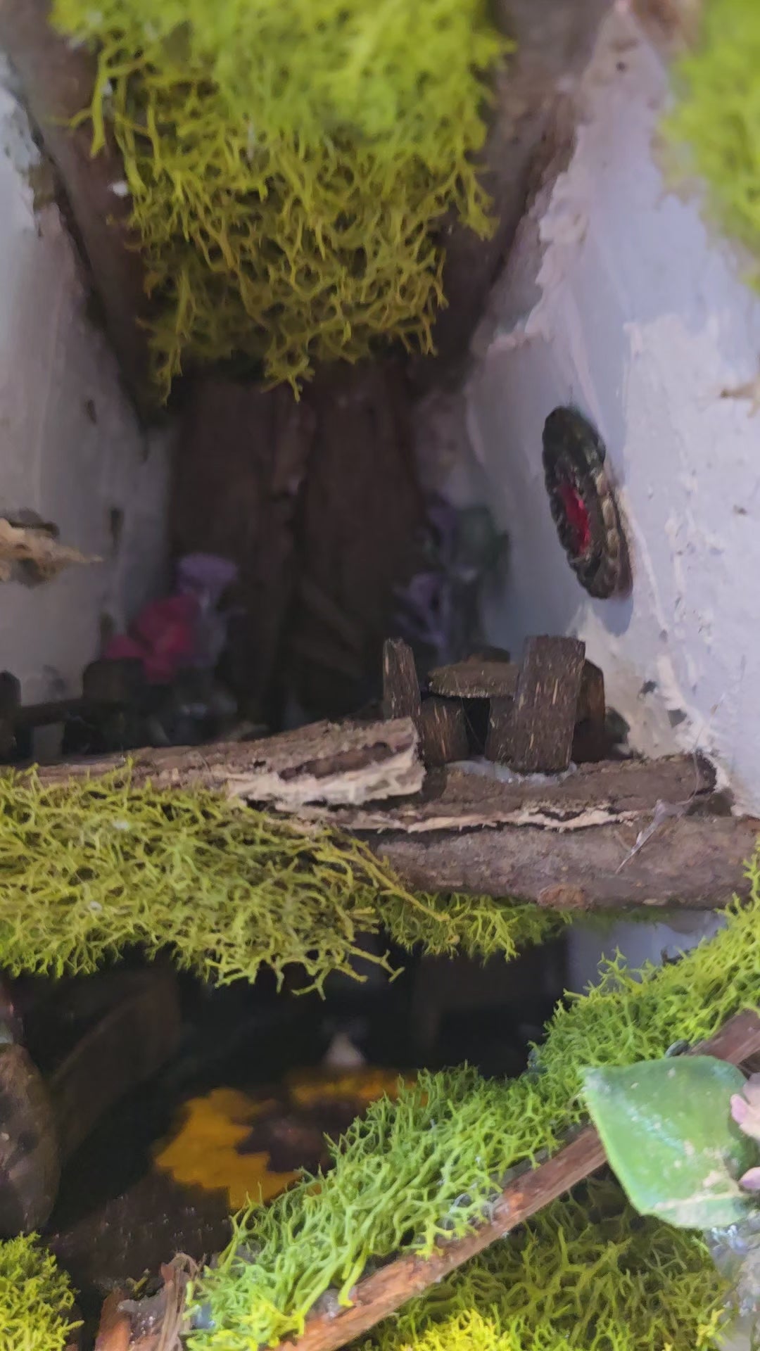 Deer Mount with Hand Crafted Fairy Cottages